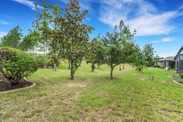 100 CASTELLON COURT, Davenport, FL 33837