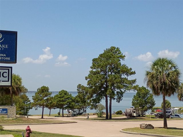 110 Pine Point Circle, Onalaska, TX 77360