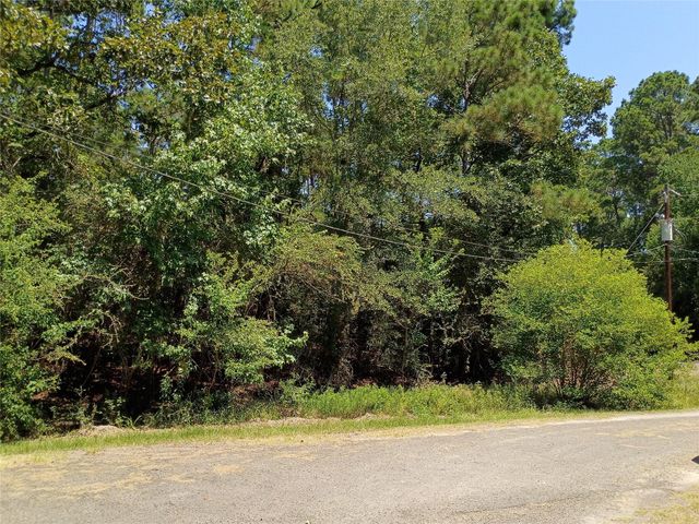 110 Pine Point Circle, Onalaska, TX 77360