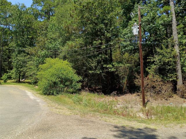 110 Pine Point Circle, Onalaska, TX 77360