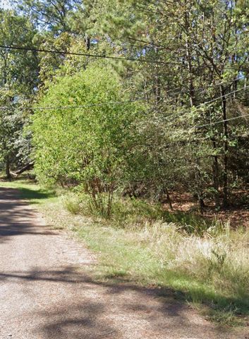 110 Pine Point Circle, Onalaska, TX 77360