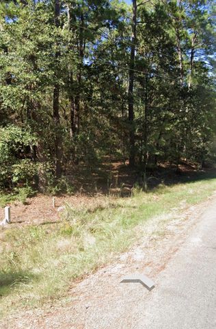 110 Pine Point Circle, Onalaska, TX 77360