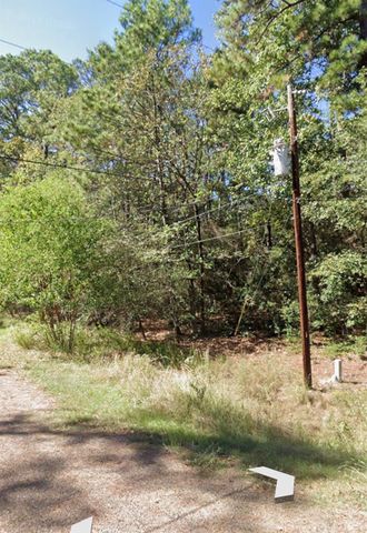 110 Pine Point Circle, Onalaska, TX 77360