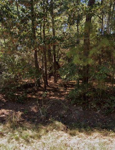 110 Pine Point Circle, Onalaska, TX 77360