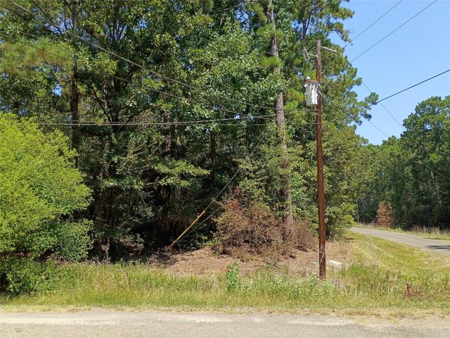 110 Pine Point Circle, Onalaska, TX 77360