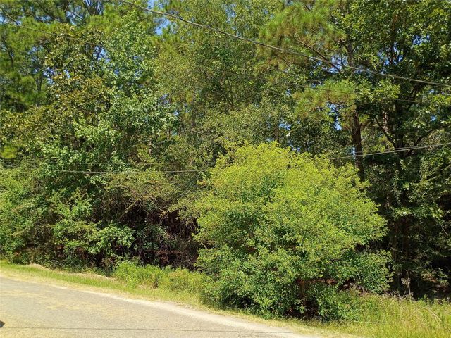 110 Pine Point Circle, Onalaska, TX 77360