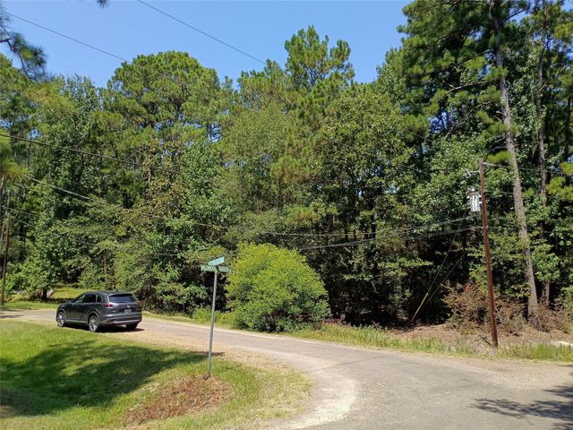 110 Pine Point Circle, Onalaska, TX 77360