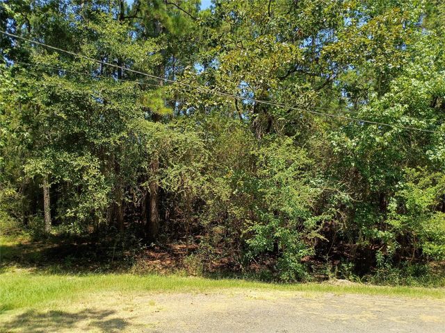 110 Pine Point Circle, Onalaska, TX 77360