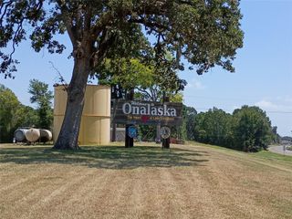 110 Pine Point Circle, Onalaska, TX 77360