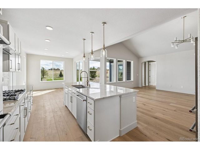 2490 Antelope Ridge Trl, Parker, CO 80138