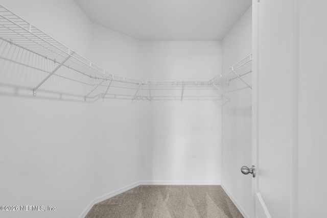 3145 COTTAGE HILL Place, Green Cove Springs, FL 32043