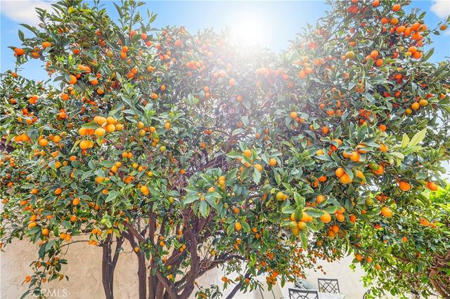 1442 W G Street, Wilmington, CA 90744