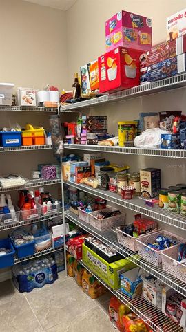 13665 KILLEBREW WAY, Winter Garden, FL 34787