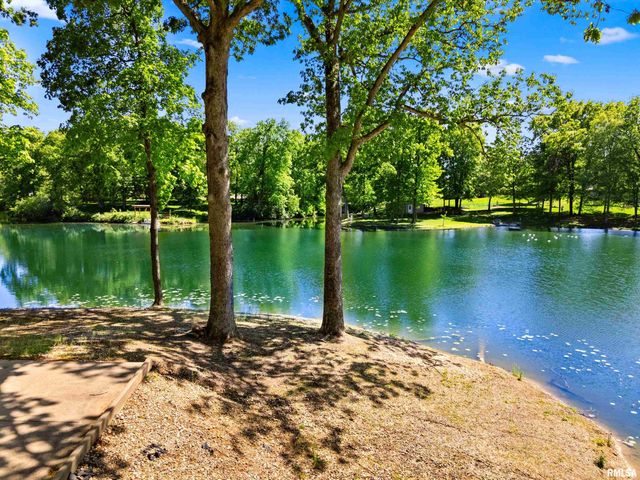 13456 OAK LAKE Court, Tremont, IL 61568