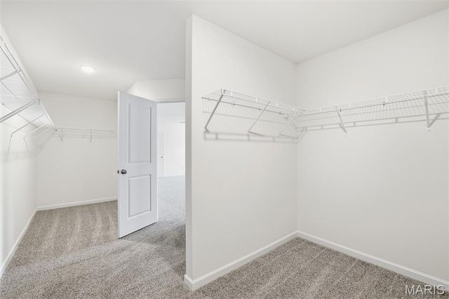 24 Bluestem Court, Lake St Louis, MO 63367