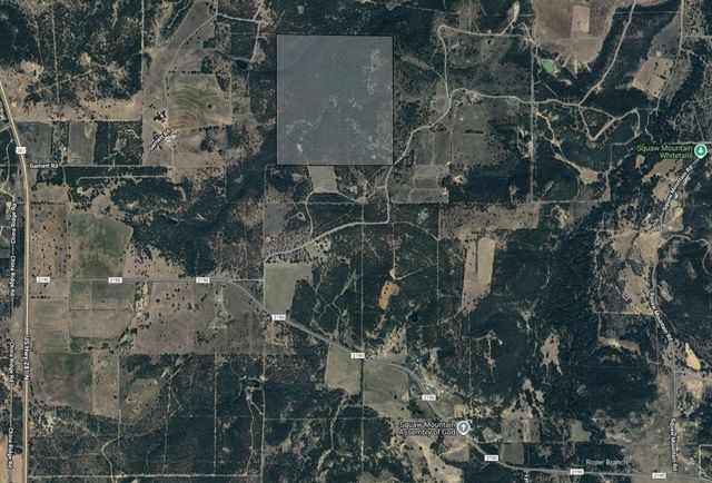 000 Hoefle Road, Jacksboro, TX 76458