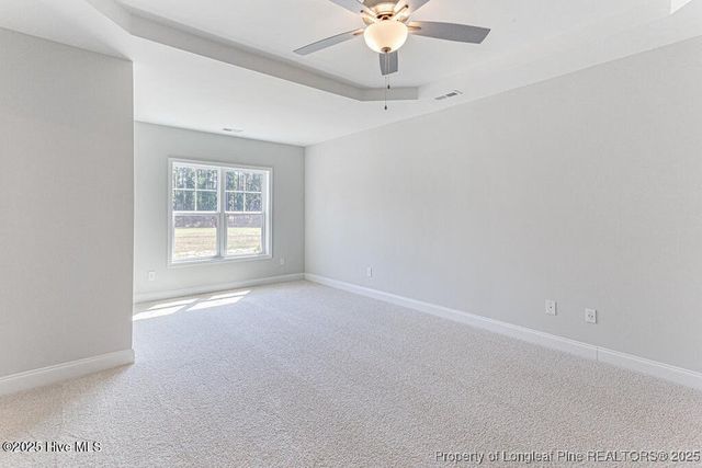 3 Vineyard Place, Jackson Springs, NC 27281