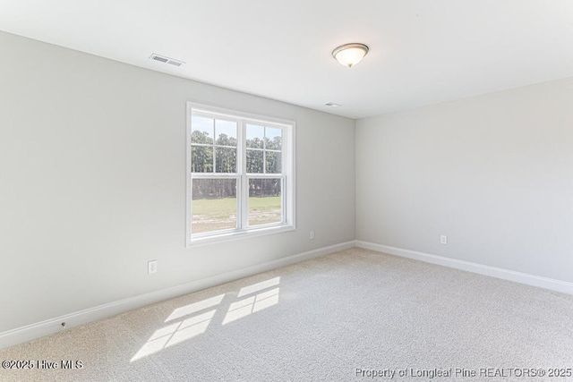 3 Vineyard Place, Jackson Springs, NC 27281