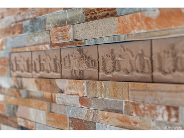 114 Star Ln, Bailey, CO 80421