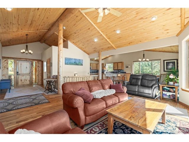114 Star Ln, Bailey, CO 80421