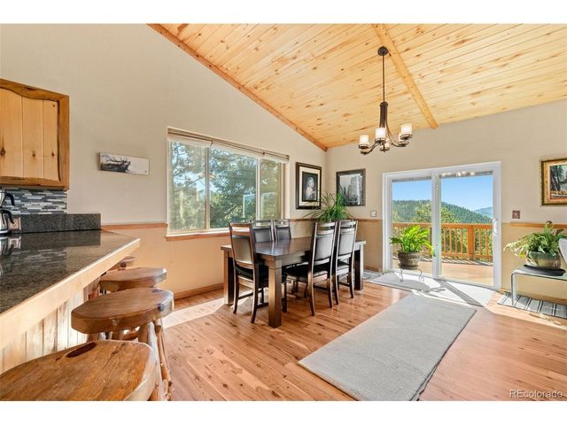 114 Star Ln, Bailey, CO 80421