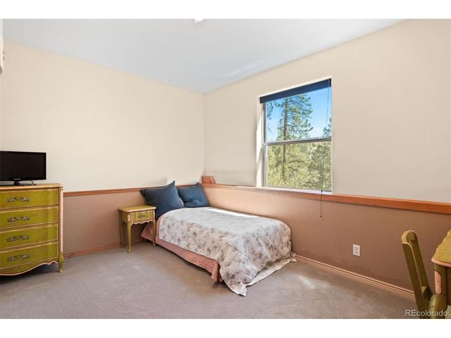 114 Star Ln, Bailey, CO 80421
