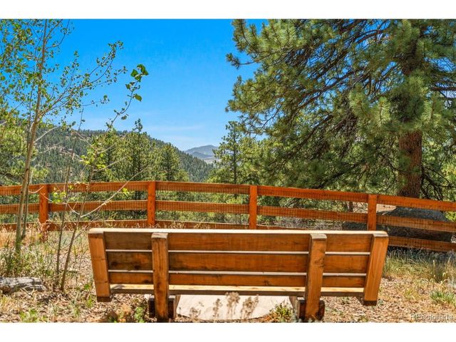 114 Star Ln, Bailey, CO 80421
