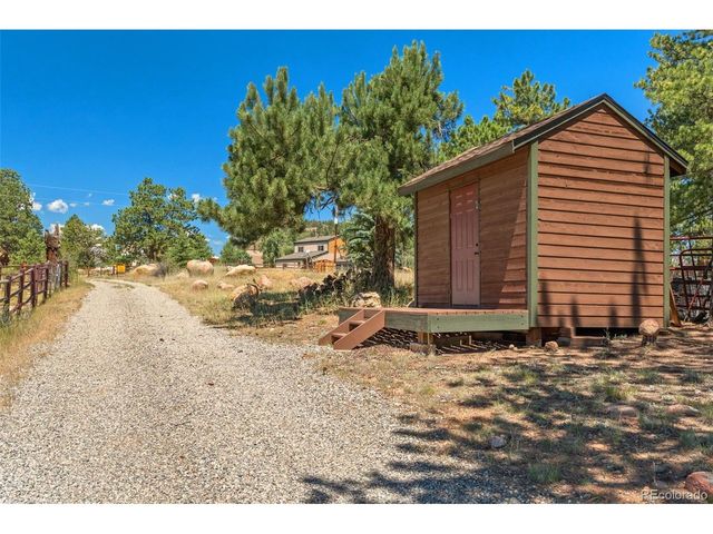 114 Star Ln, Bailey, CO 80421