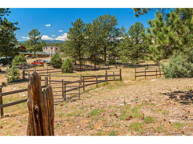 114 Star Ln, Bailey, CO 80421