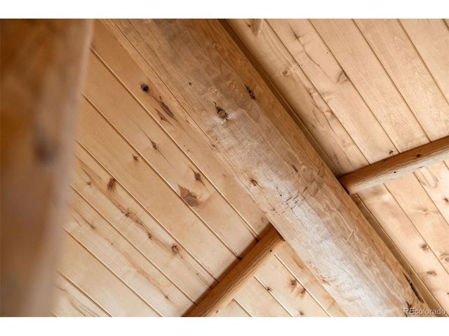 114 Star Ln, Bailey, CO 80421