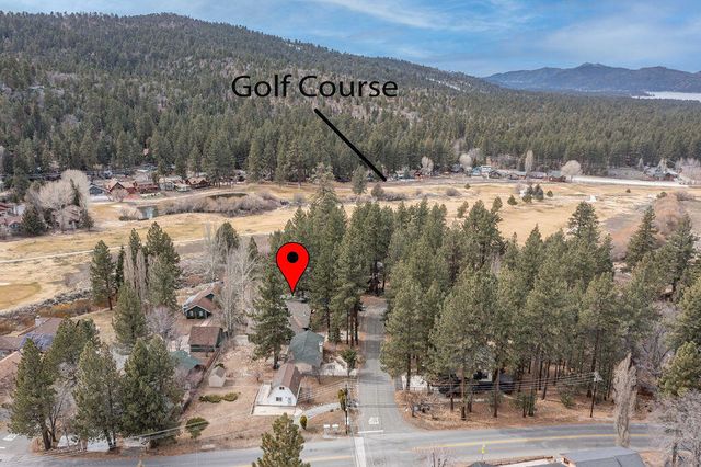 43151 Sheephorn Road, Big Bear, CA 92315
