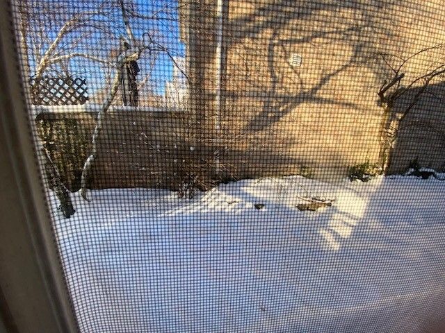 1626 S Luther Avenue, Oakbrook Terrace, IL 60181