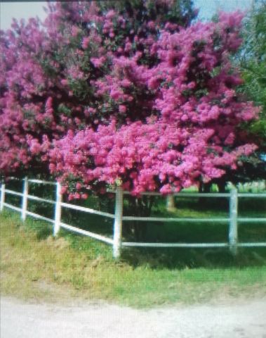 10761 County Road 348, Wills Point, TX 75169