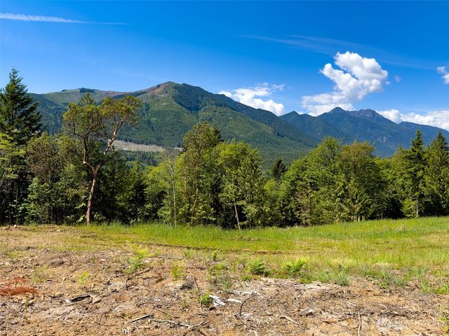 111 XXX Rocky Brook Road, Brinnon, WA 98320