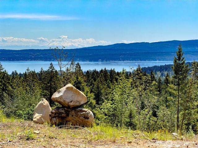 111 XXX Rocky Brook Road, Brinnon, WA 98320