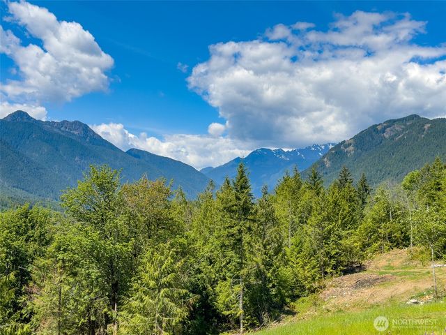 111 XXX Rocky Brook Road, Brinnon, WA 98320