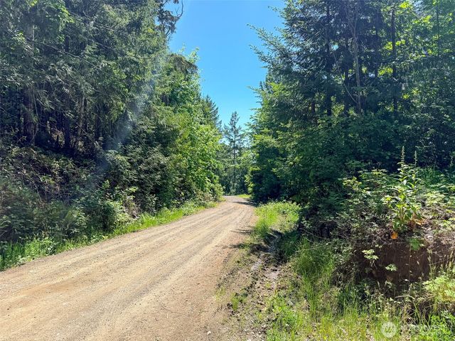111 XXX Rocky Brook Road, Brinnon, WA 98320