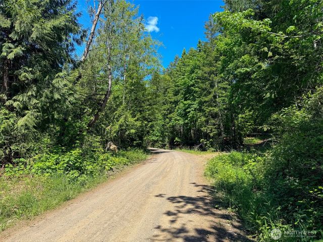 111 XXX Rocky Brook Road, Brinnon, WA 98320