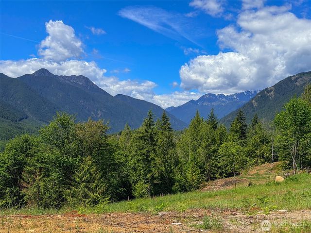 111 XXX Rocky Brook Road, Brinnon, WA 98320