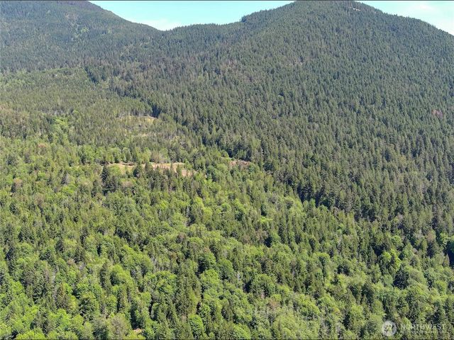111 XXX Rocky Brook Road, Brinnon, WA 98320