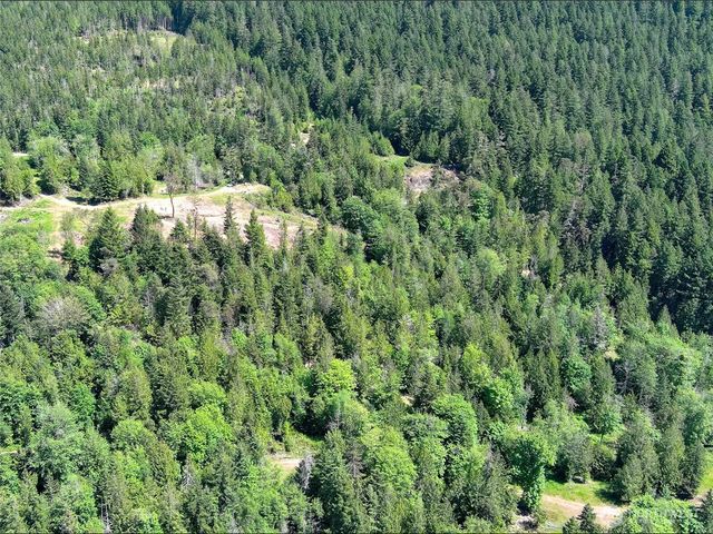 111 XXX Rocky Brook Road, Brinnon, WA 98320