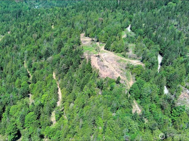 111 XXX Rocky Brook Road, Brinnon, WA 98320