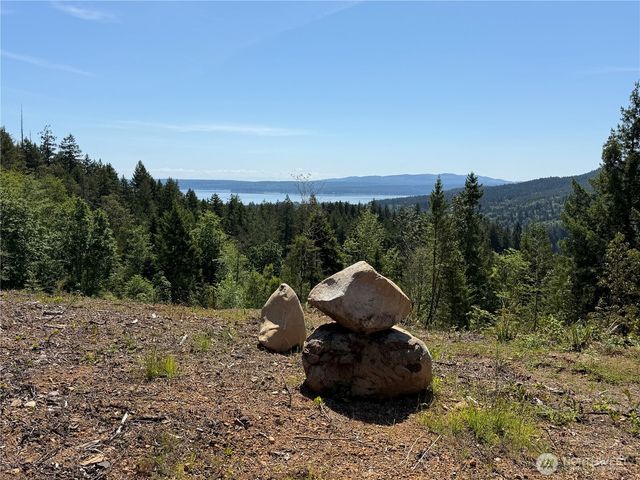 111 XXX Rocky Brook Road, Brinnon, WA 98320