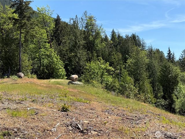 111 XXX Rocky Brook Road, Brinnon, WA 98320