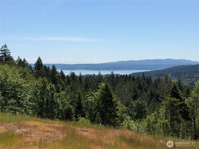 111 XXX Rocky Brook Road, Brinnon, WA 98320