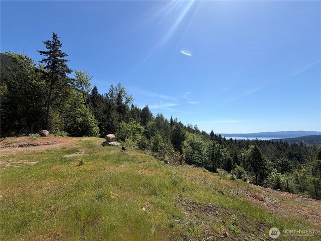 111 XXX Rocky Brook Road, Brinnon, WA 98320