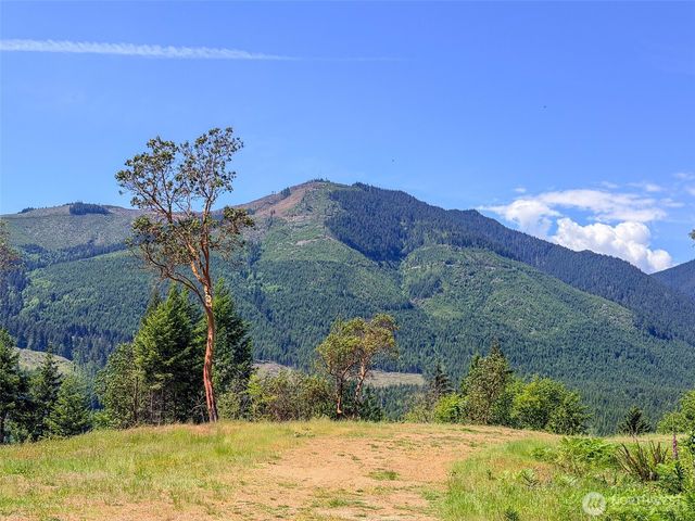 111 XXX Rocky Brook Road, Brinnon, WA 98320