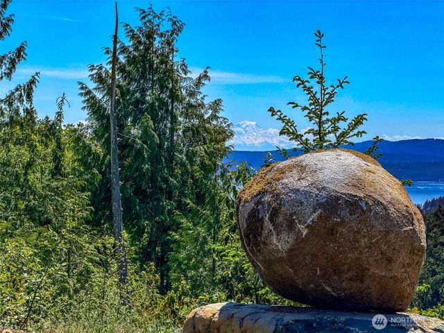 111 XXX Rocky Brook Road, Brinnon, WA 98320
