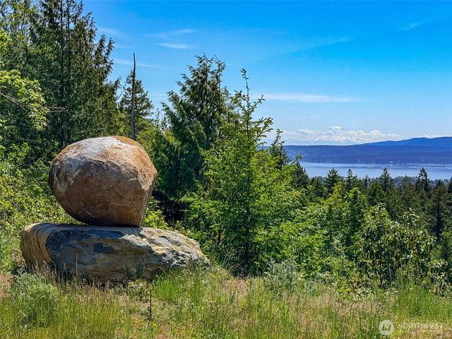 111 XXX Rocky Brook Road, Brinnon, WA 98320