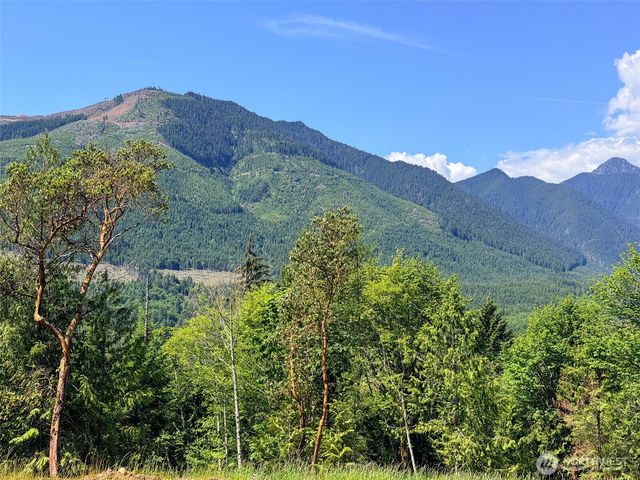 111 XXX Rocky Brook Road, Brinnon, WA 98320